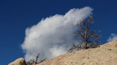 Cloud Timelapse 動画素材 40361147