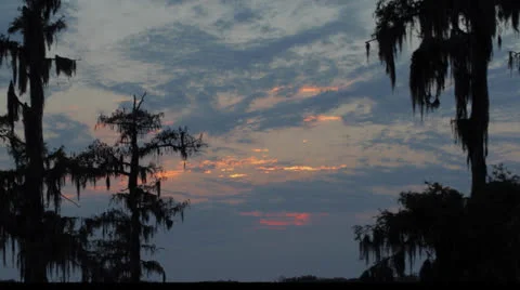 Cloud timelapse over the bayou Видео 22916331