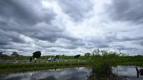 Cloud Timelapse Over Koiwa Iris Garden - Tokyo, Japan Stock Footage 336520036