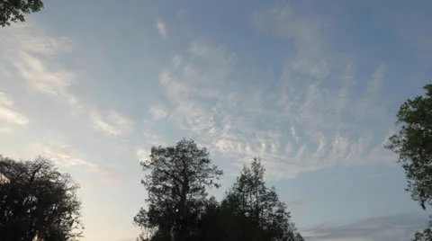 Cloud timelapse over trees Video stock 22916339