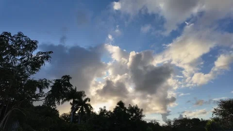 CLOUD TIMELAPSE before sunset over tree tops Stock Footage 270439960