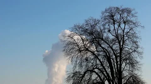 Cloud und tree Stock Footage 20453805