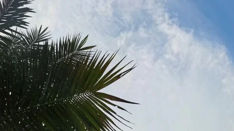Soft Cloud Wallpaper Stock Videos – Royalty-Free HD & 4K Videos