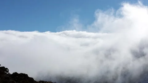 Cloud Waterfall Flowing in Sunny Valley Stock Footage 137772764