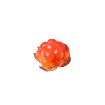 Cloudberries without leaves isolated on a white background Stock Photos