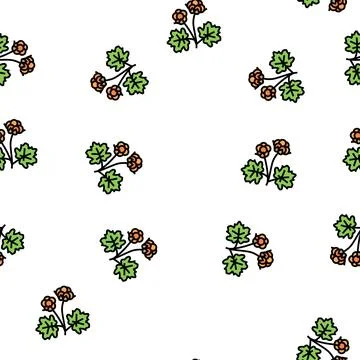Cloudberry berry vector seamless pattern 스톡 일러스트