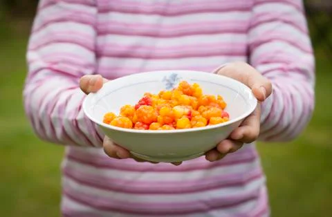 Cloudberry Stock Photos