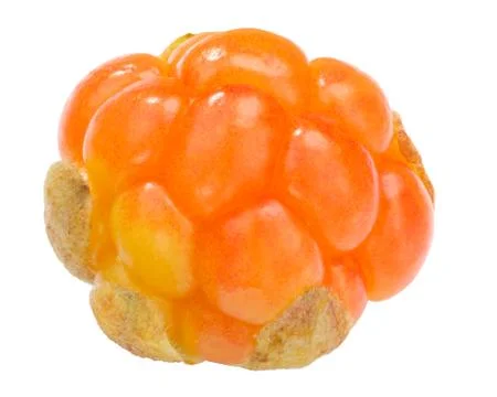 Cloudberry rubus chamaemorus, paths Stock Photos
