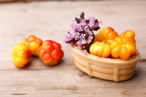 Cloudberry tart Stock Photos