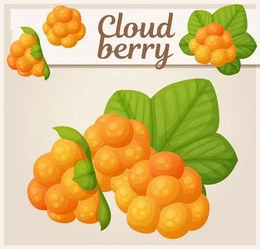 Cloudberry vector icon, cartoon forest berry illustration Stock Illustration