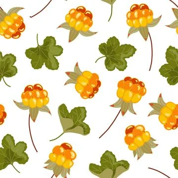 Cloudberry vector seamless pattern. Nordic yellow orange berries background Stock Illustration