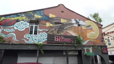 Clouded Leopard and Cat Mural, shophouse, Chinatown, Kuching, Malaysia, Borneo Stock Footage 169384261