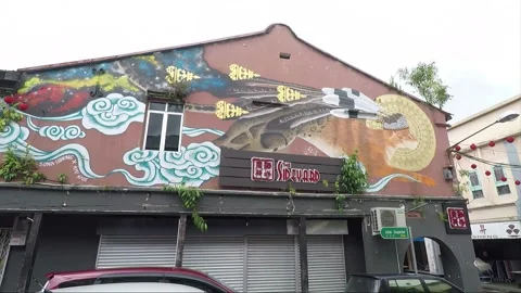 Clouded Leopard and Cat Mural, shophouse, Chinatown, Kuching, Malaysia, Borneo Stock Footage 169384262