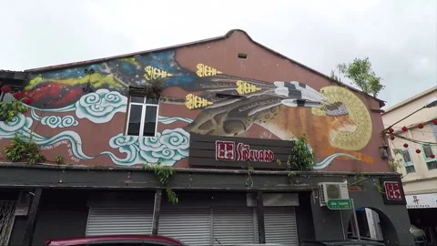 Clouded Leopard and Cat Mural, shophouse, Chinatown, Kuching, Malaysia, Borneo Stock Footage 169384264