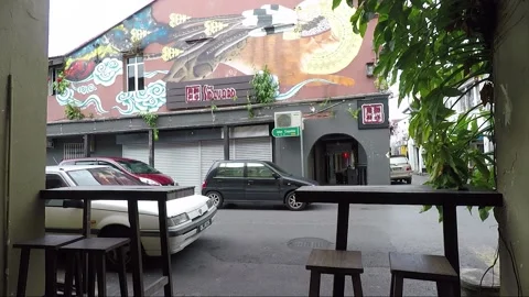Clouded Leopard and Cat Mural, shophouse, Chinatown, Kuching, Malaysia, Borneo Stock Footage 169384321