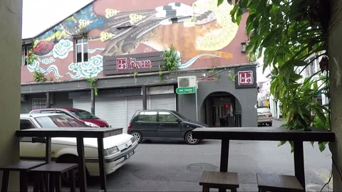 Clouded Leopard and Cat Mural, shophouse, Chinatown, Kuching, Malaysia, Borneo Stock Footage 169384328