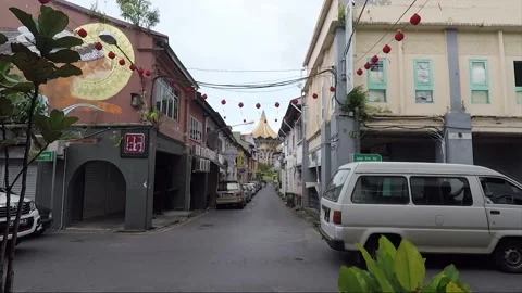 Clouded Leopard and Cat Mural, State Assembly Building, Kuching, Borneo Stock Footage 169384382