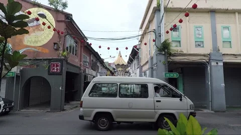 Clouded Leopard and Cat Mural, State Assembly Building, Kuching, Borneo Stock Footage 169384386