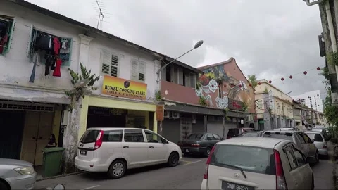Clouded Leopard and Cat Mural, shophouse, Chinatown, Kuching, Malaysia, Borneo Stock Footage 169388098