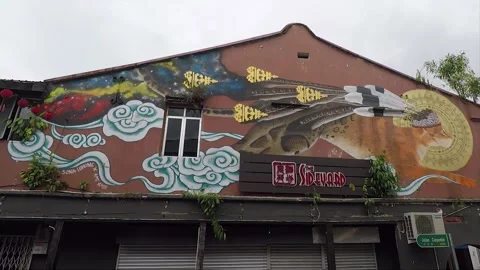 Clouded Leopard and Cat Mural, shophouse, Chinatown, Kuching, Malaysia, Borneo Stock Footage 169388263