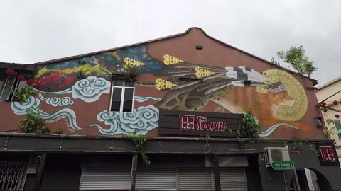 Clouded Leopard and Cat Mural, shophouse, Chinatown, Kuching, Malaysia, Borneo Stock Footage 169388269