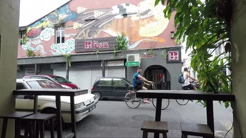 Clouded Leopard and Cat Mural, shophouse, Chinatown, Kuching, Malaysia, Borneo Stock Footage 169388412