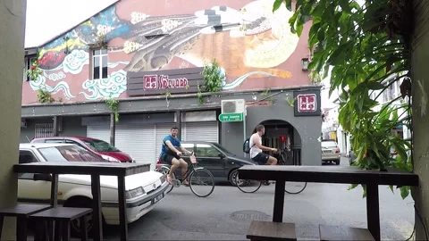 Clouded Leopard and Cat Mural, shophouse, Chinatown, Kuching, Malaysia, Borneo Stock Footage 169388475