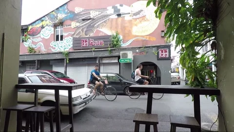 Clouded Leopard and Cat Mural, shophouse, Chinatown, Kuching, Malaysia, Borneo Stock Footage 169388596