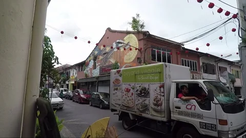 Clouded Leopard and Cat Mural, shophouse, Chinatown, Kuching, Malaysia, Borneo Stock Footage 169388614