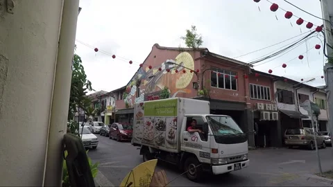 Clouded Leopard and Cat Mural, shophouse, Chinatown, Kuching, Malaysia, Borneo Stock Footage 169388630