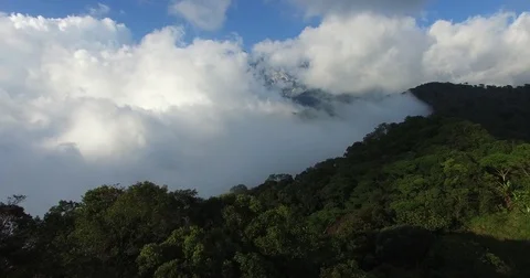 Clouded montane forest with summit, aerial track forward, South East Asia Stock Footage 81259178