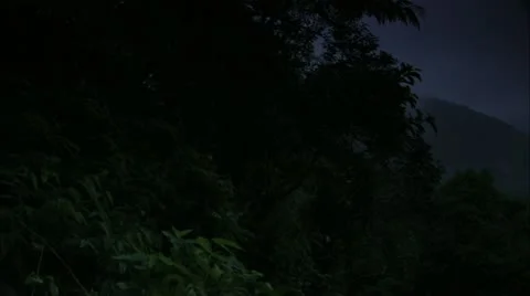 Clouded Over Canopy at Dusk, Tijuca Brazilt HD Video Stock Footage 22146786