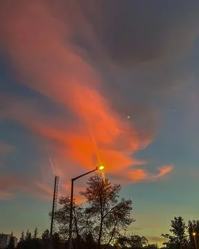 Cloudfly Stock Photos