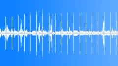 Cloudforest sunset crickets dance with drizzle and wind gusts HD 24Bits/96KHz Sound Effect