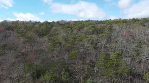 Cloudland Canyon 0095 1 Stock Footage 281678436
