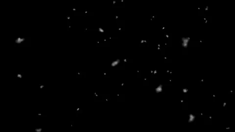 Cloudlet Snow Falling Snowflakes Stock Footage 244750995