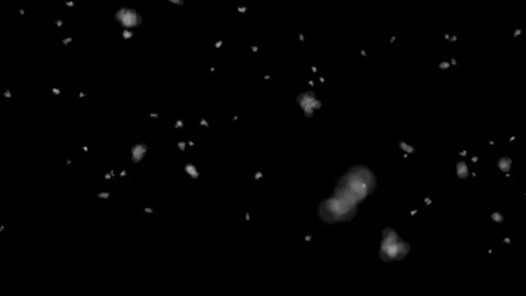 Cloudlet Snowfall 0-1 Stock Footage 244751004