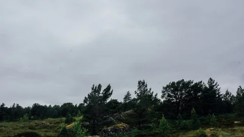 Cloudmoving on the top of a hill | Halsa | Norway Video stock 89378052