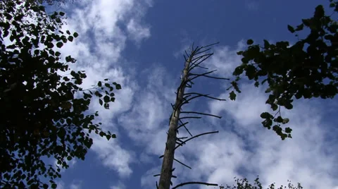 Clouds 1 Stock Footage 27427811