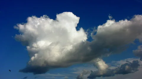 Clouds 13  Stock Footage 769685