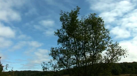 Clouds 24 Stock Footage 8795742