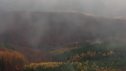 Clouds above an autumn forest 4k 25fps video Stock Footage 321311447