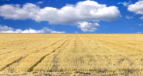 Clouds above the beveled field Foto stock
