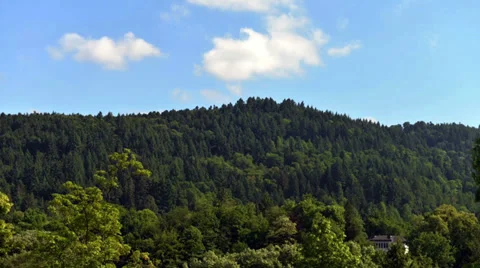 Clouds above emerald green forest Video stock 39354835