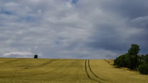 Clouds above the field Stock Footage 132255677