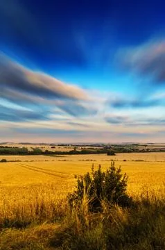 Clouds above a field Stock Photos
