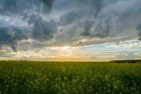 Clouds above the field. Stock Photos