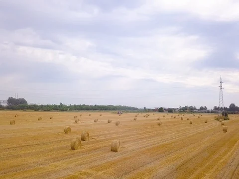 Clouds above field with rolls of hay at summer sunny day. Aerial view Stock Footage 78275963