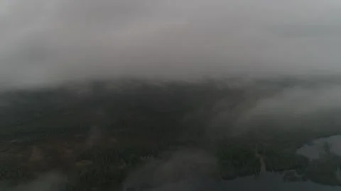 Clouds above the flooded forest  and the river Stock Footage 269573176