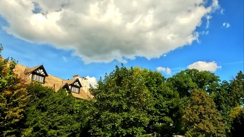 Clouds above the forest with a plane flying Stock Footage 285090306